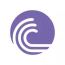 BitTorrent - Torrent Downloads