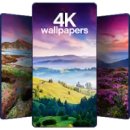 Красивые обои 4K