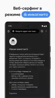 Google Chrome