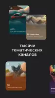 Дзен — видео, статьи, новости