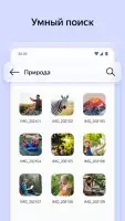 Яндекс Диск - облачное хранилище