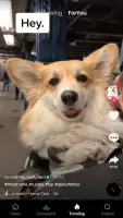 Скачать Видео с Тик Ток
