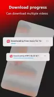 Tube Video Downloader & Video