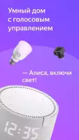 Дом с Алисой