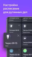 Дом с Алисой