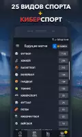 Ставки на Спорт - BETUP