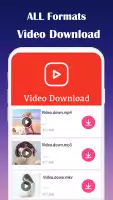 Загрузчик всех видео